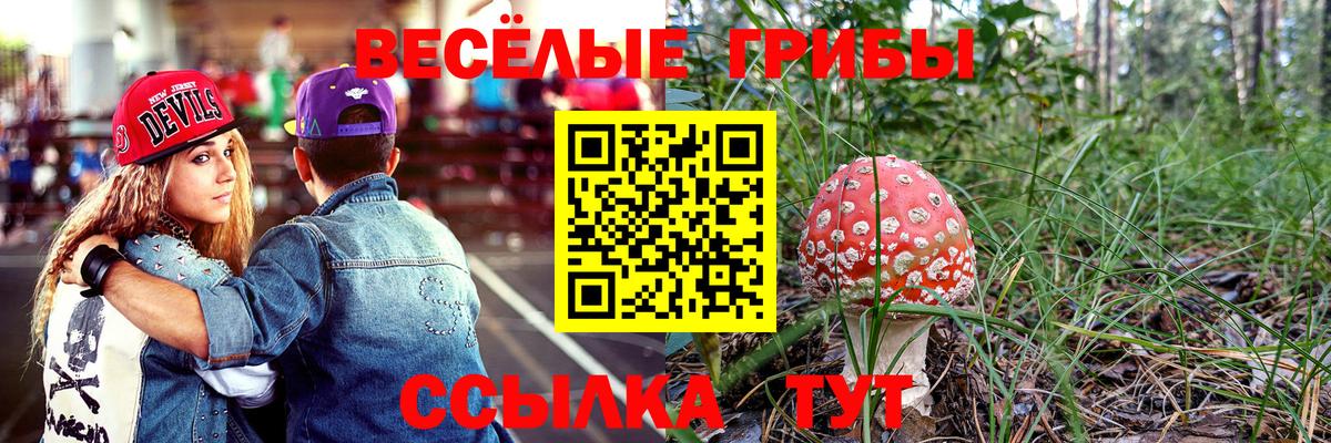 цена   Вход с VPN  Семилуки  Псилоцибиновые грибы MAGIC MUSHROOMS 